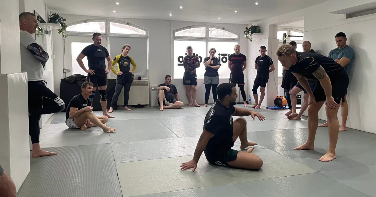 What we do background