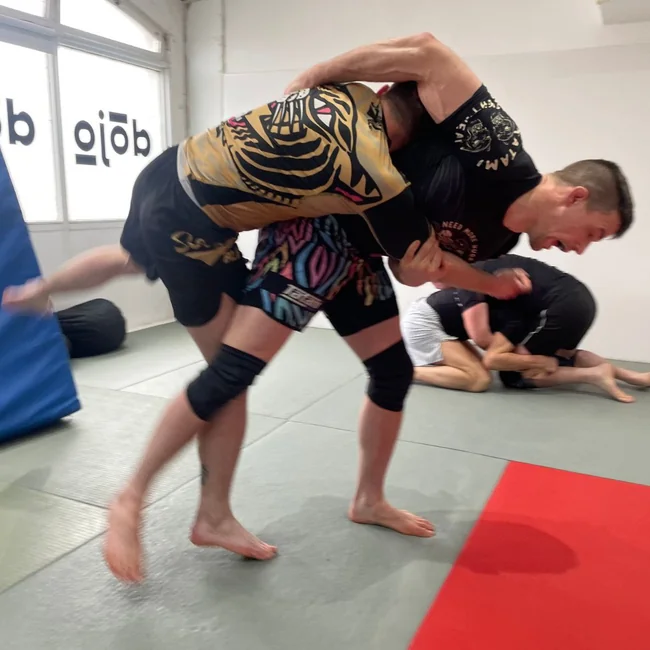 No-gi throw